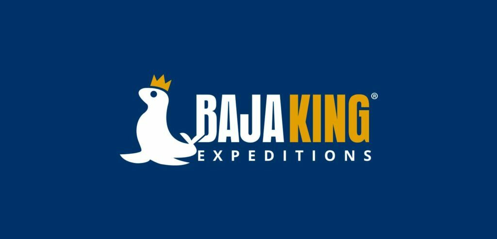 Diseño UI – BajaKing Expeditions, La Paz, B. C. S